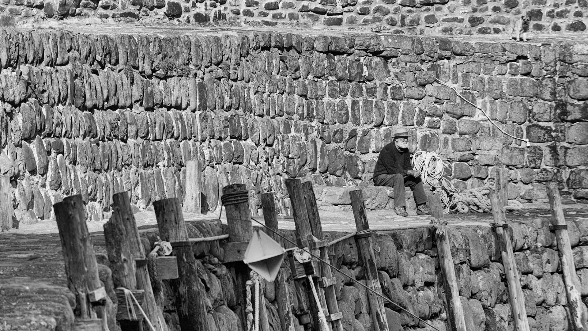 But there is something else in the picture....can you see it?