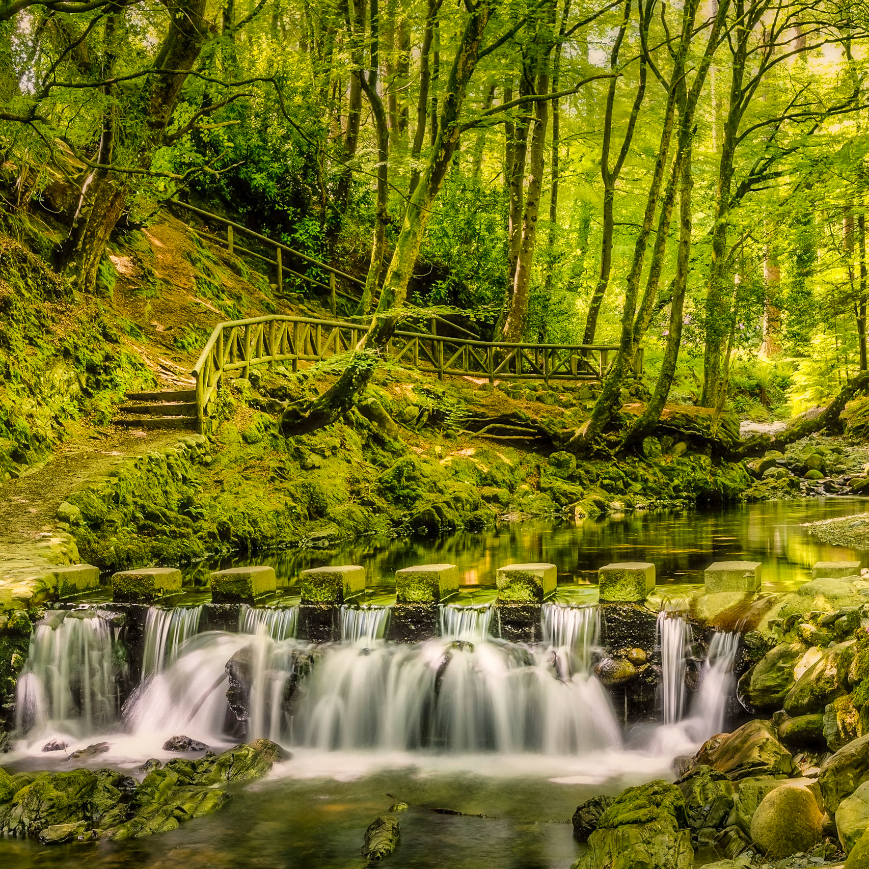 stepping stone bridge in Tullymore Forest