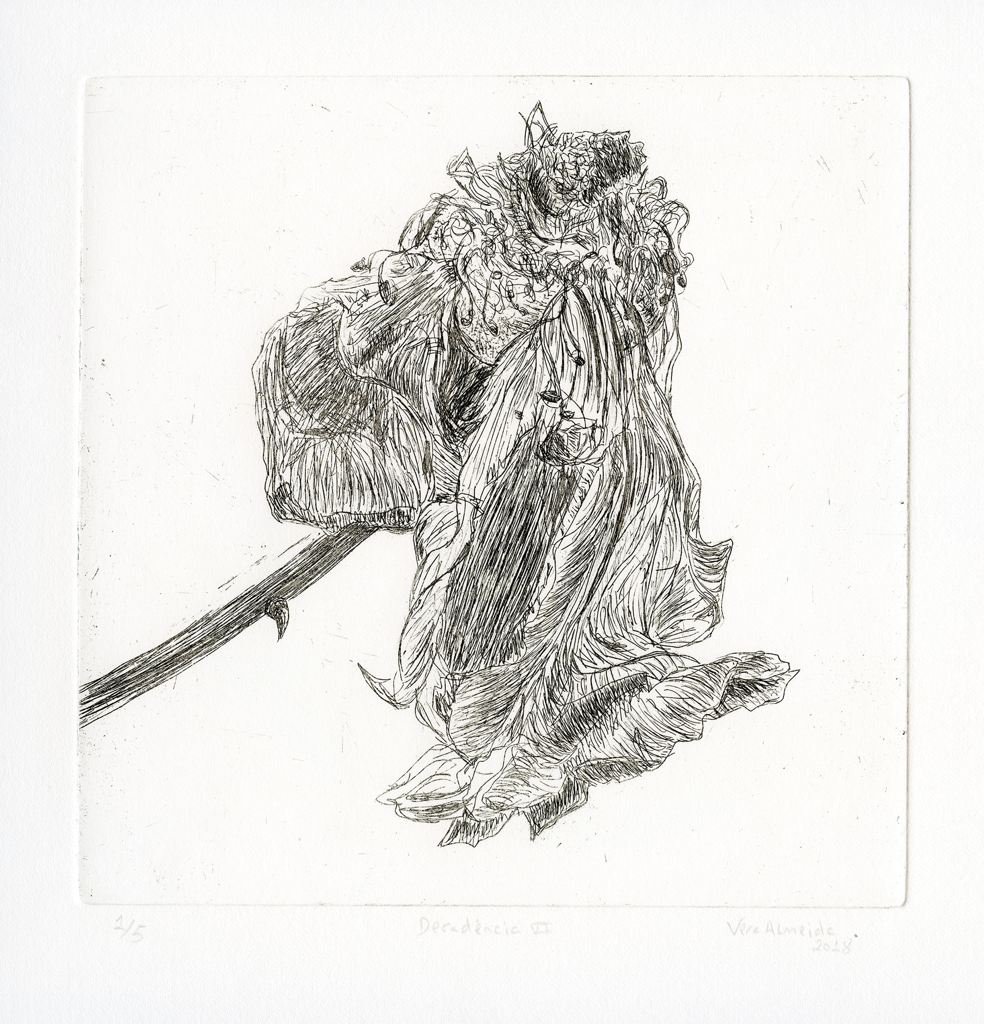 Rose in decay etching, black and white, by Vera Almeida