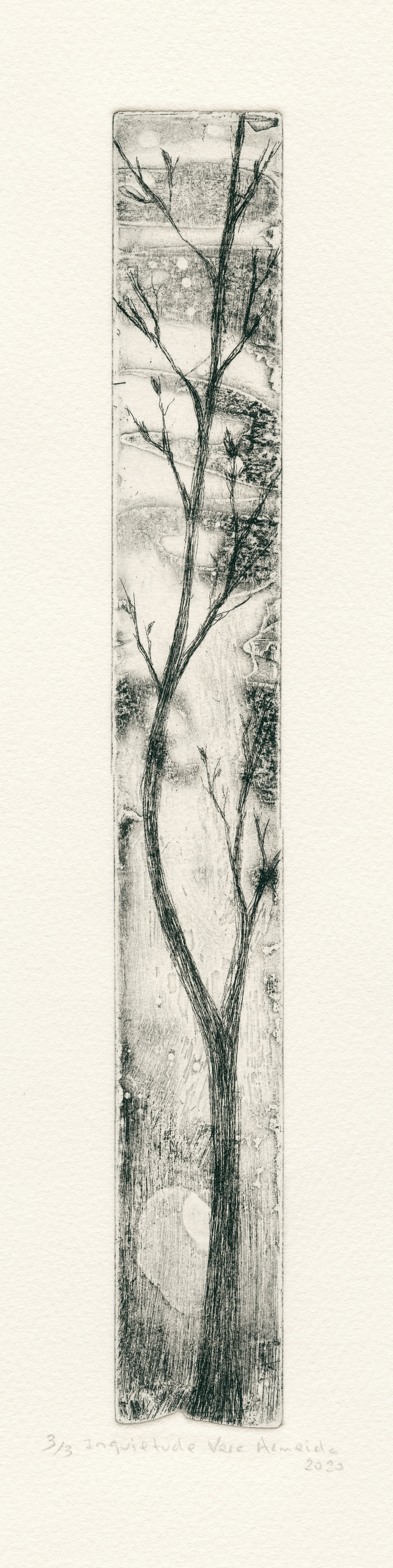 Slim vertical tree trunk in black and white by Vera Almeida