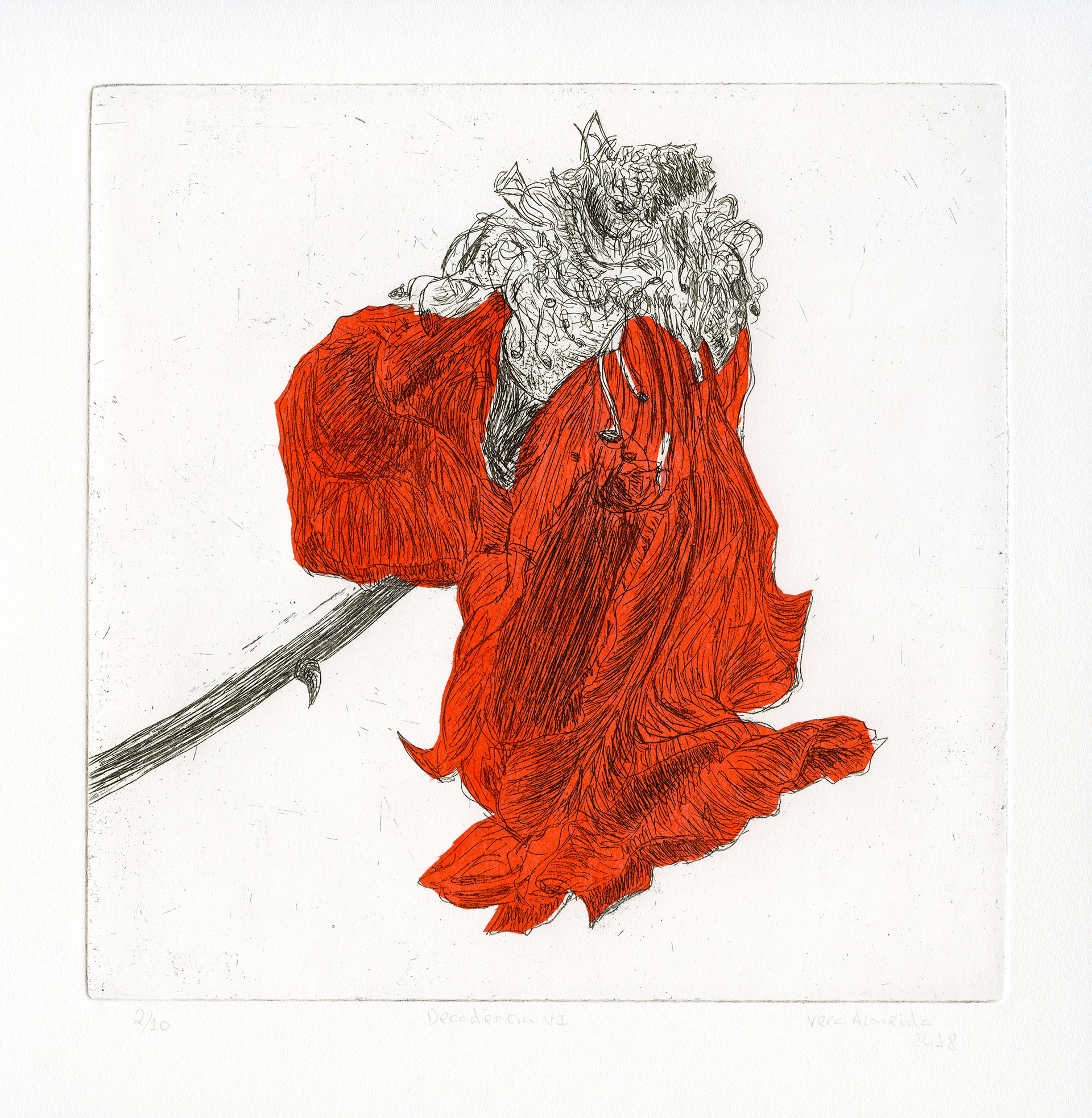 Red rose in decay etching and chine-collé by Vera Almeida