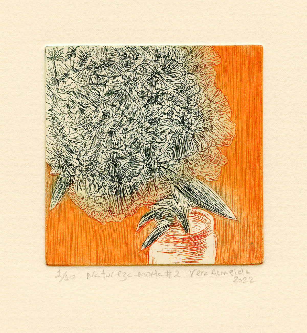 Still life with flower and jar, colour version, by Vera Almeida