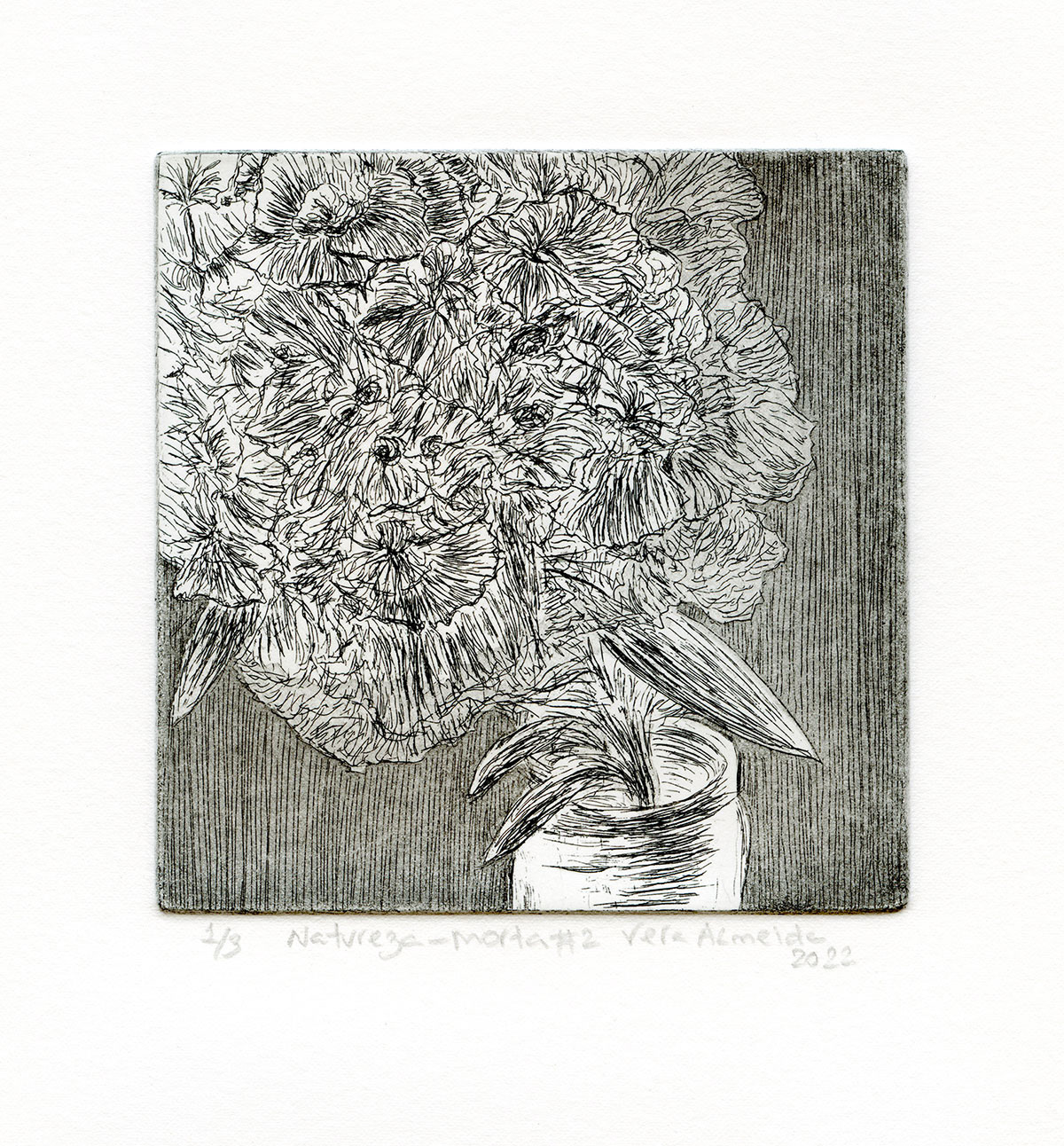 Still life with flower and jar, black and white version, by Vera Almeida