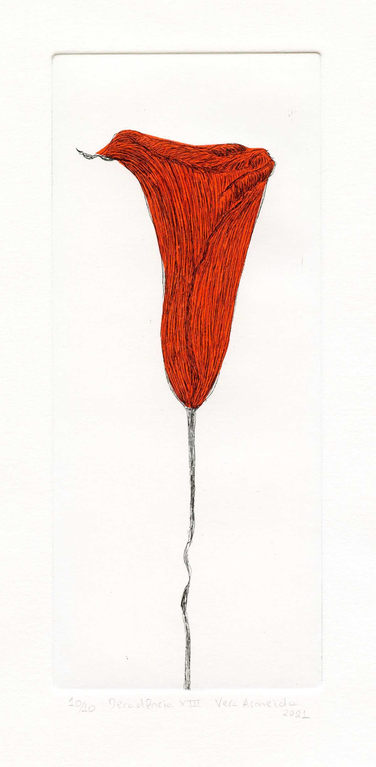 Calla lily in decay etching and chine-collé in red, by Vera Almeida