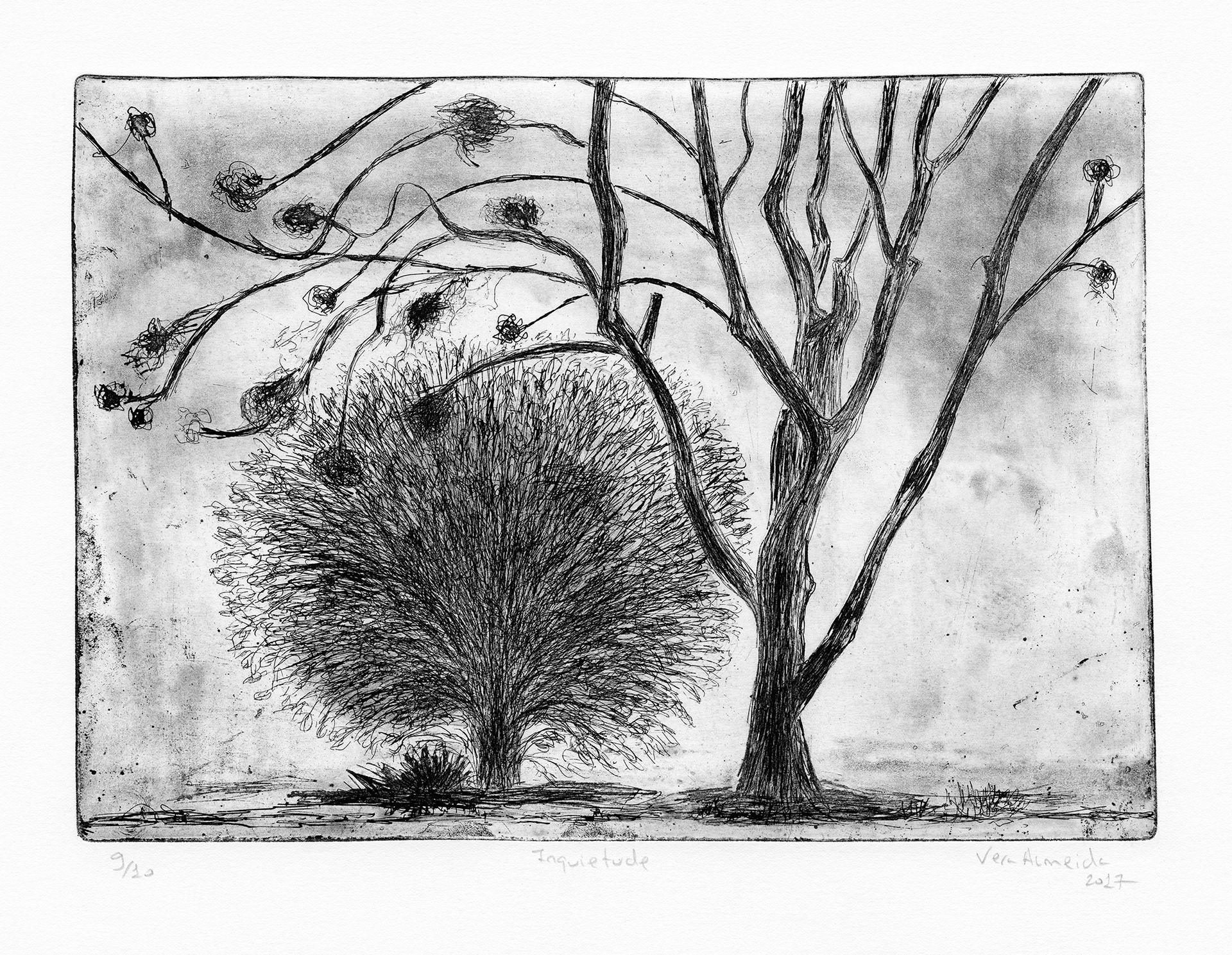 Bare tree and shrub balck and white etching by Vera Almeida