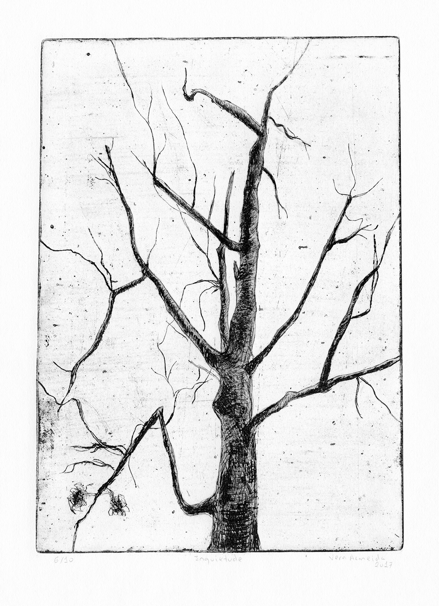 Bare tree black and white etching by Vera Almeida