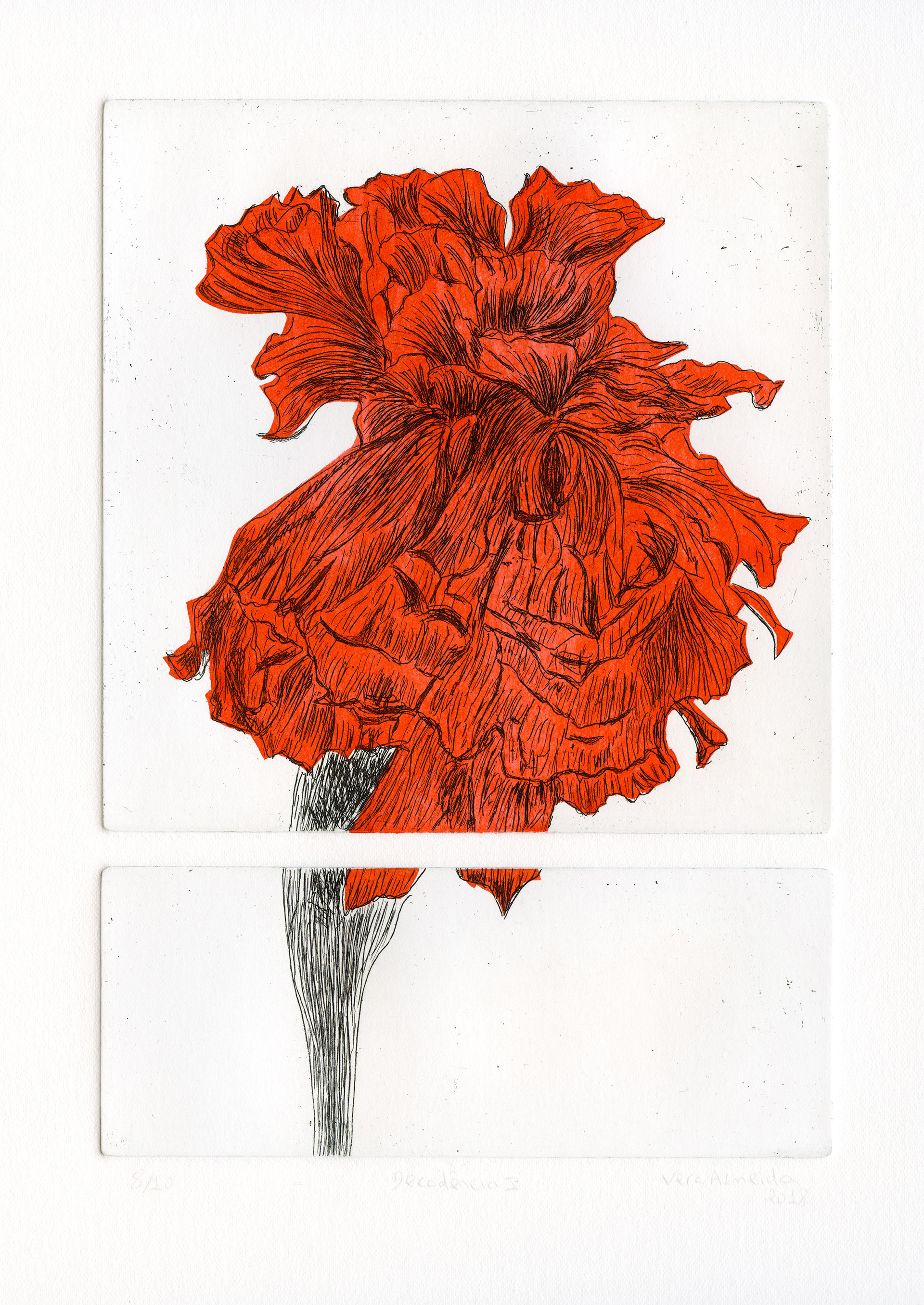 Flower in decay etching and chine-collé, in red, by Vera Almeida