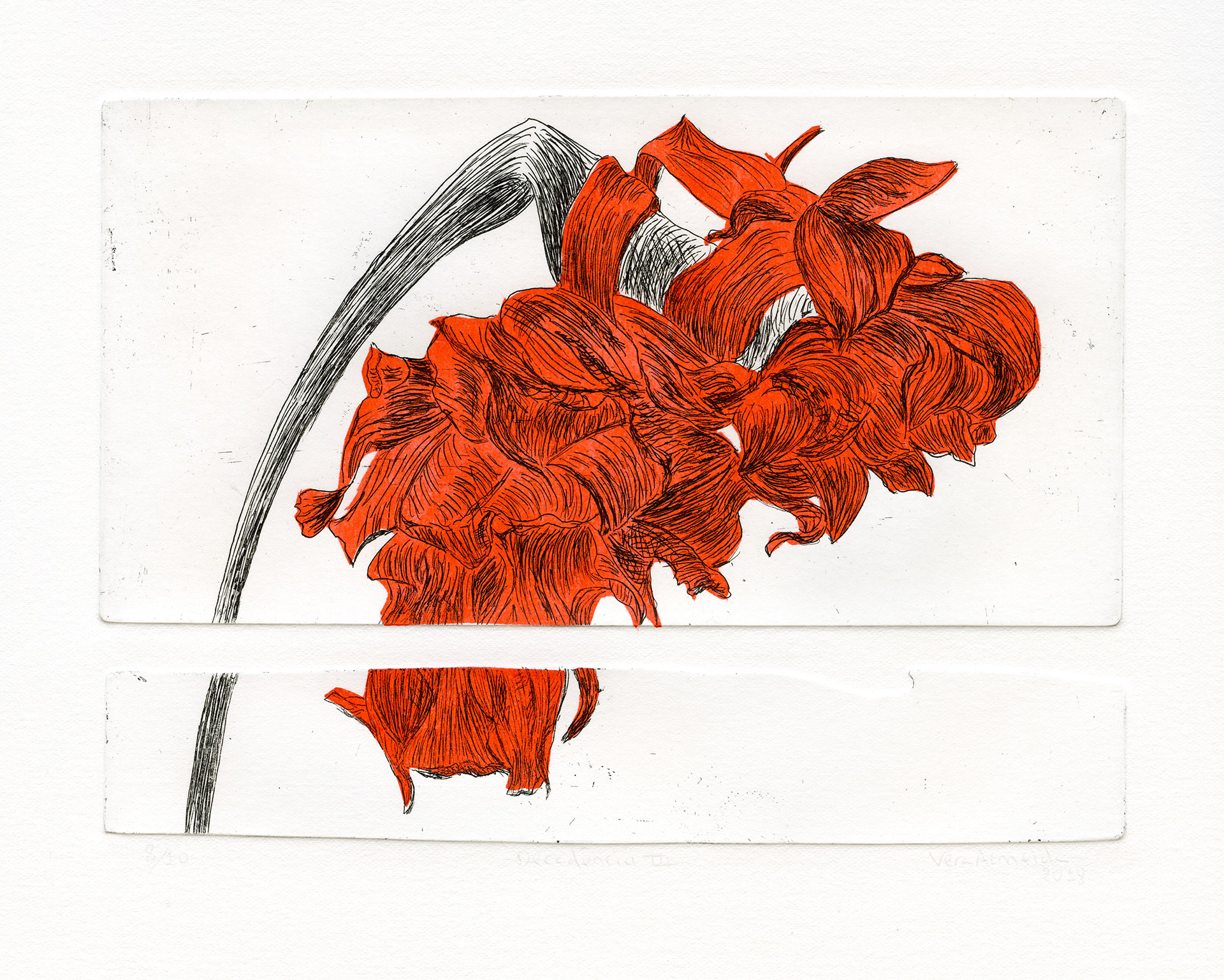 Flower in decay etching and chine-collé, in red, by Vera Almeida