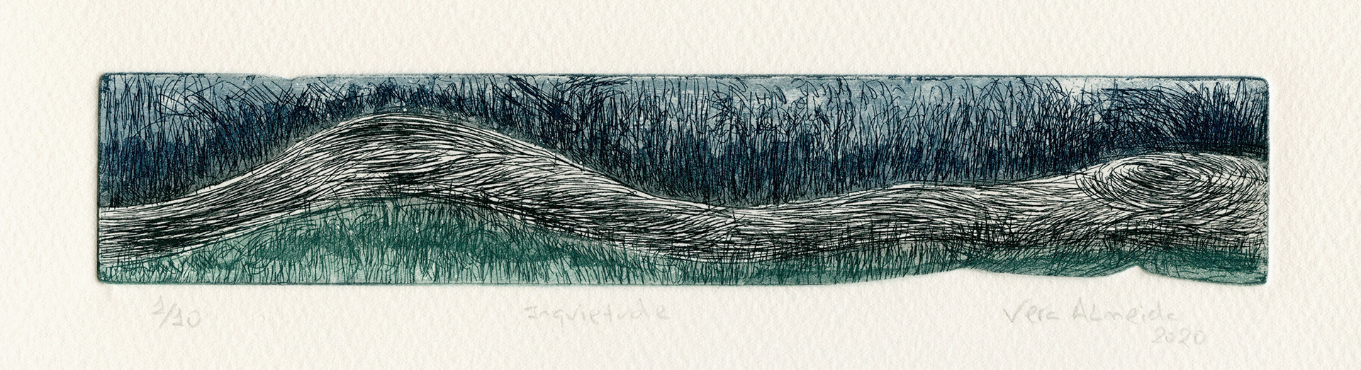 Lying tree trunk and grass, colour version, by Vera Almeida