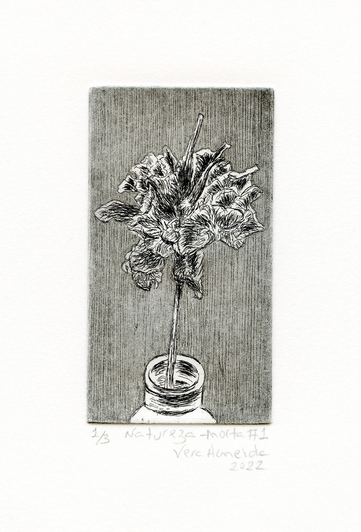 Still life with flower and bottle, black and white version, by Vera Almeida