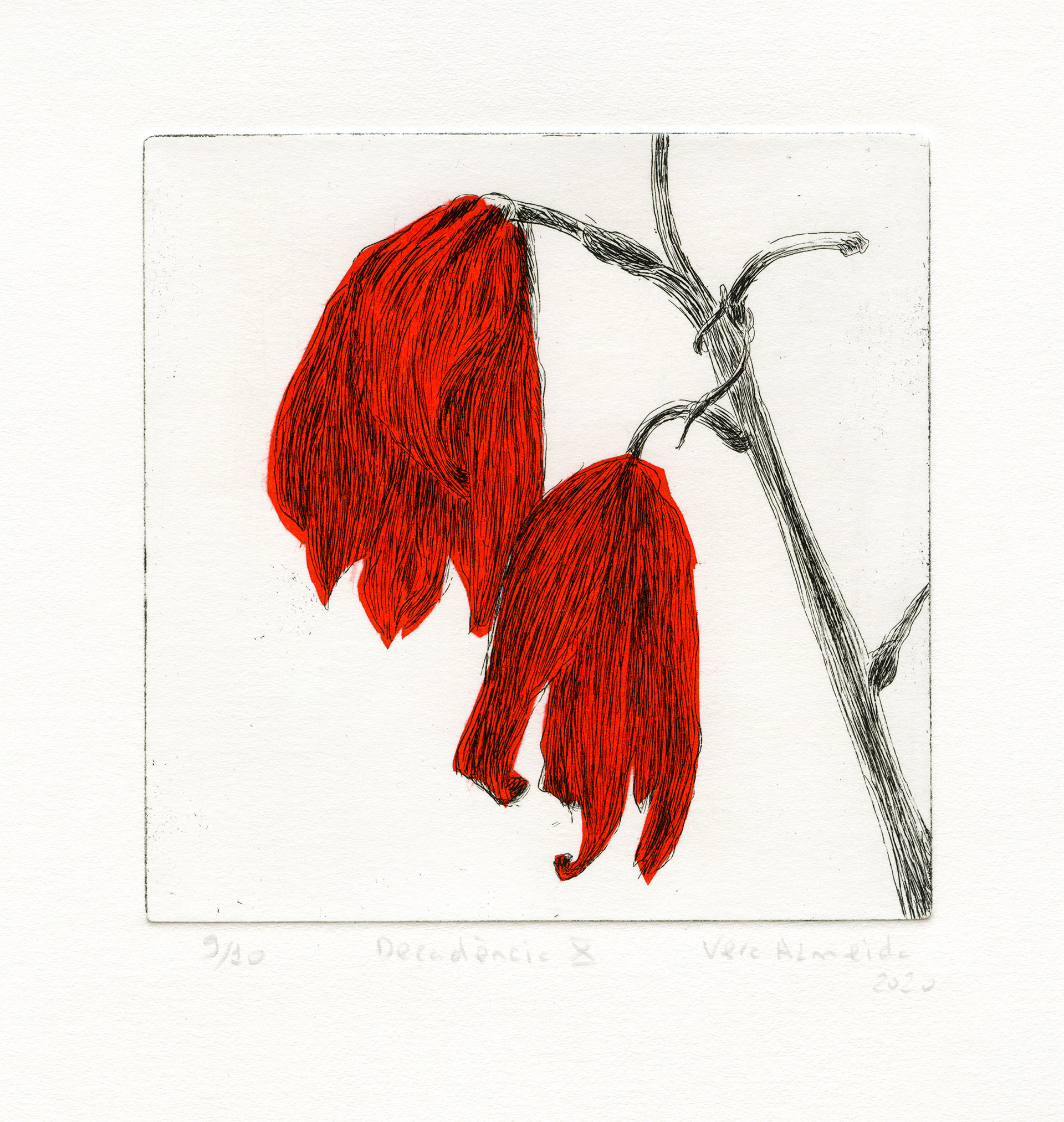 Red flowers in decay etching and chine-collé by Vera Almeida