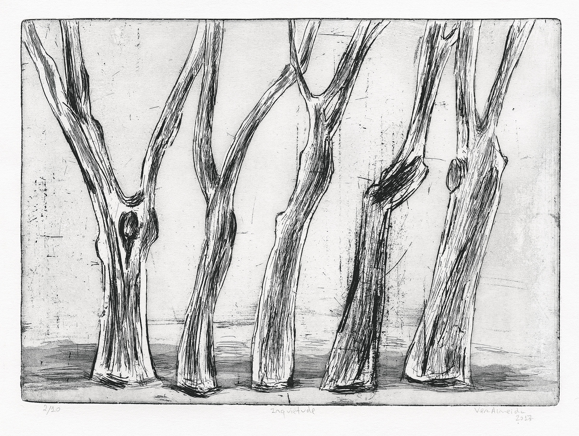 Bare trees in black and white by Vera Almeida