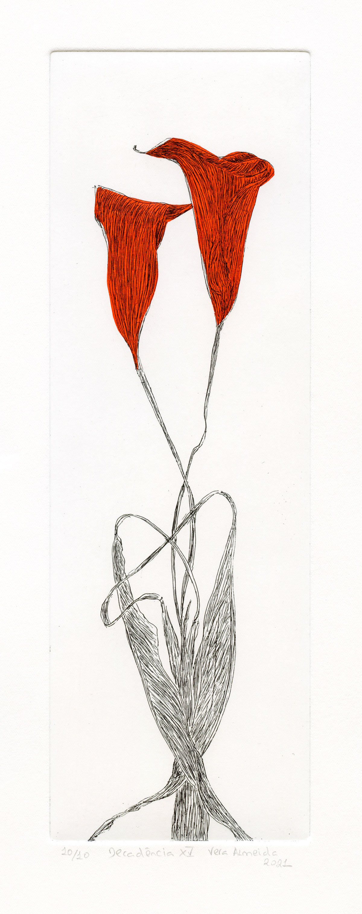 Two Calla lilies in decay etching and chine-collé in red, by Vera Almeida