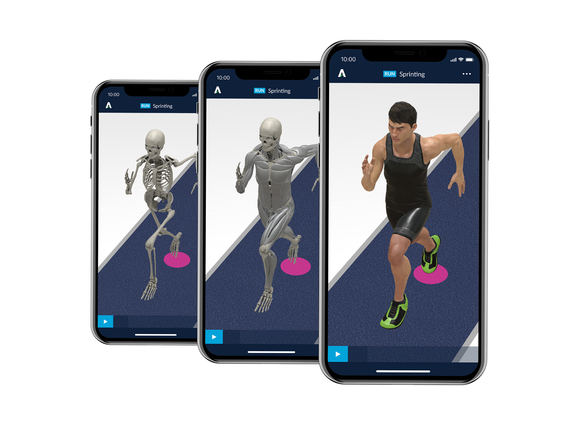 3 iPhone screens showing skeletal, musculoskeletal and standard body modes in the Athletics 3D app