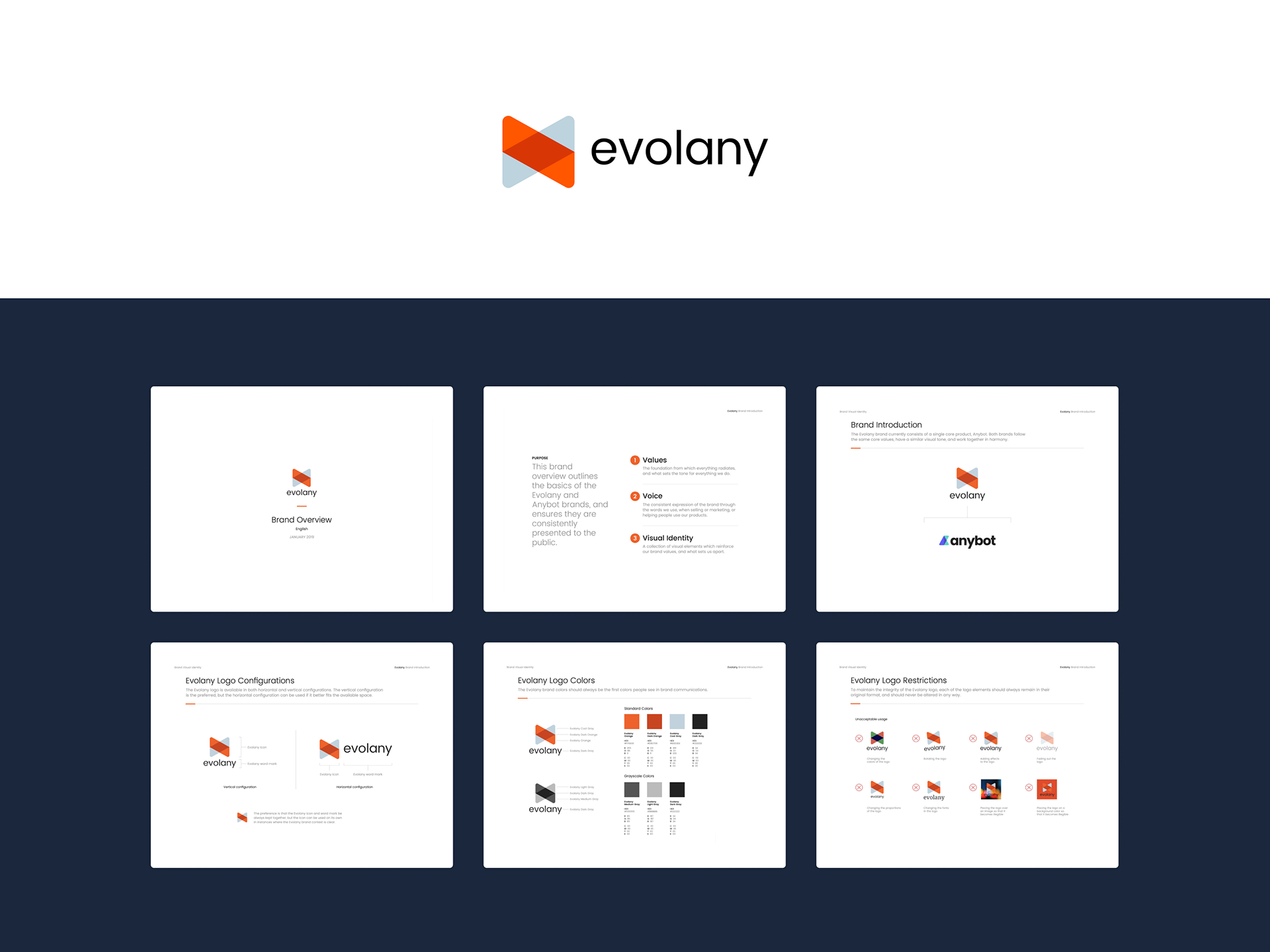 Evolany logo and brand guidelines