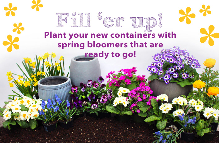 Early spring planting promo