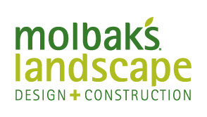 New landscape division