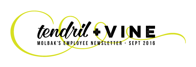 Botanically-inspired masthead