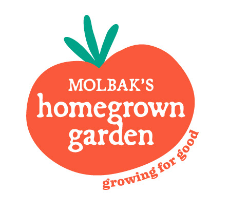 Molbak's employees' pea patch garden