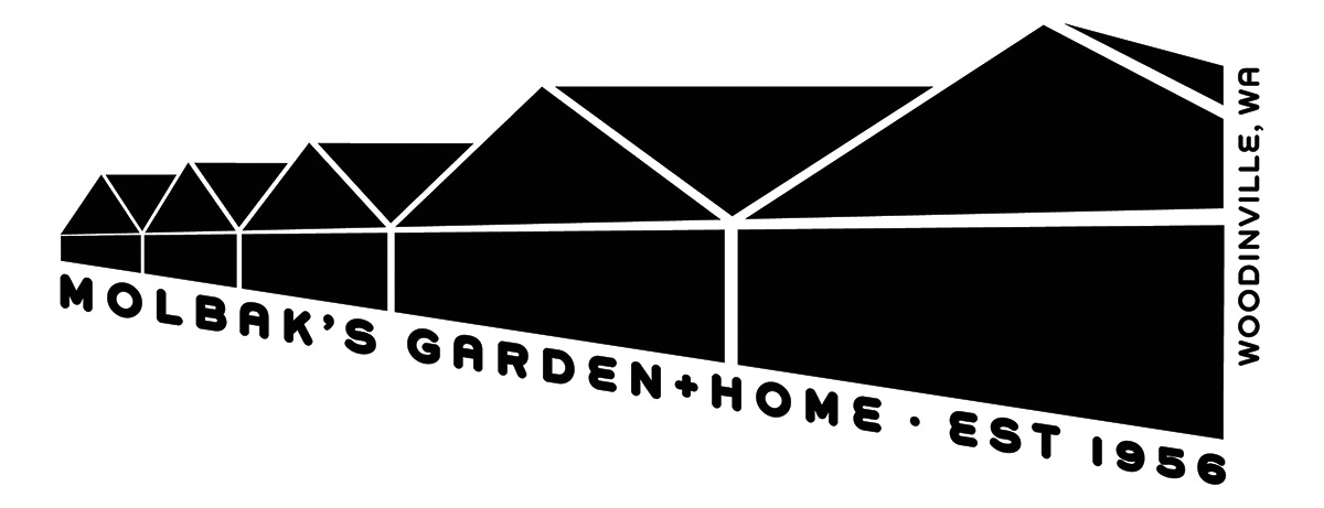 Molbak's iconic greenhouses