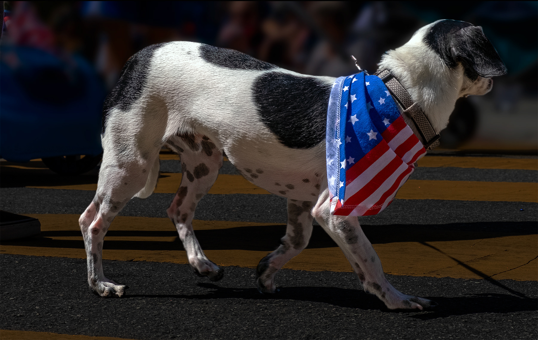 California 4th of July