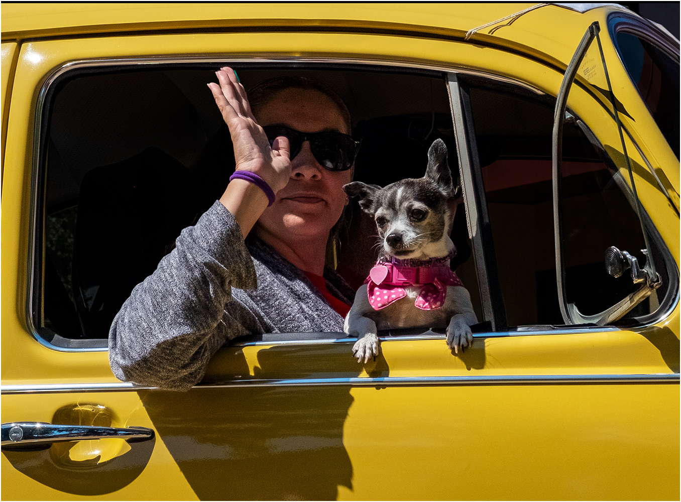 California Happy Fourth