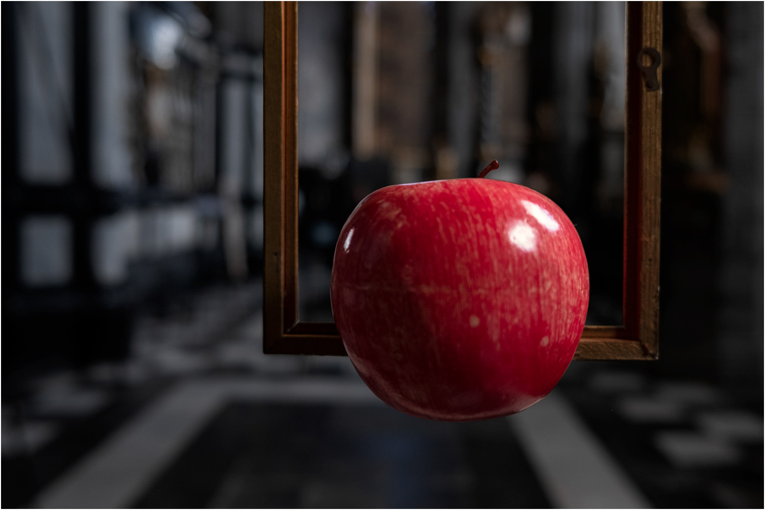 Gent De Wereld van Honoré d'O