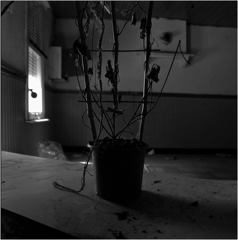 Doel A Forgotten Village