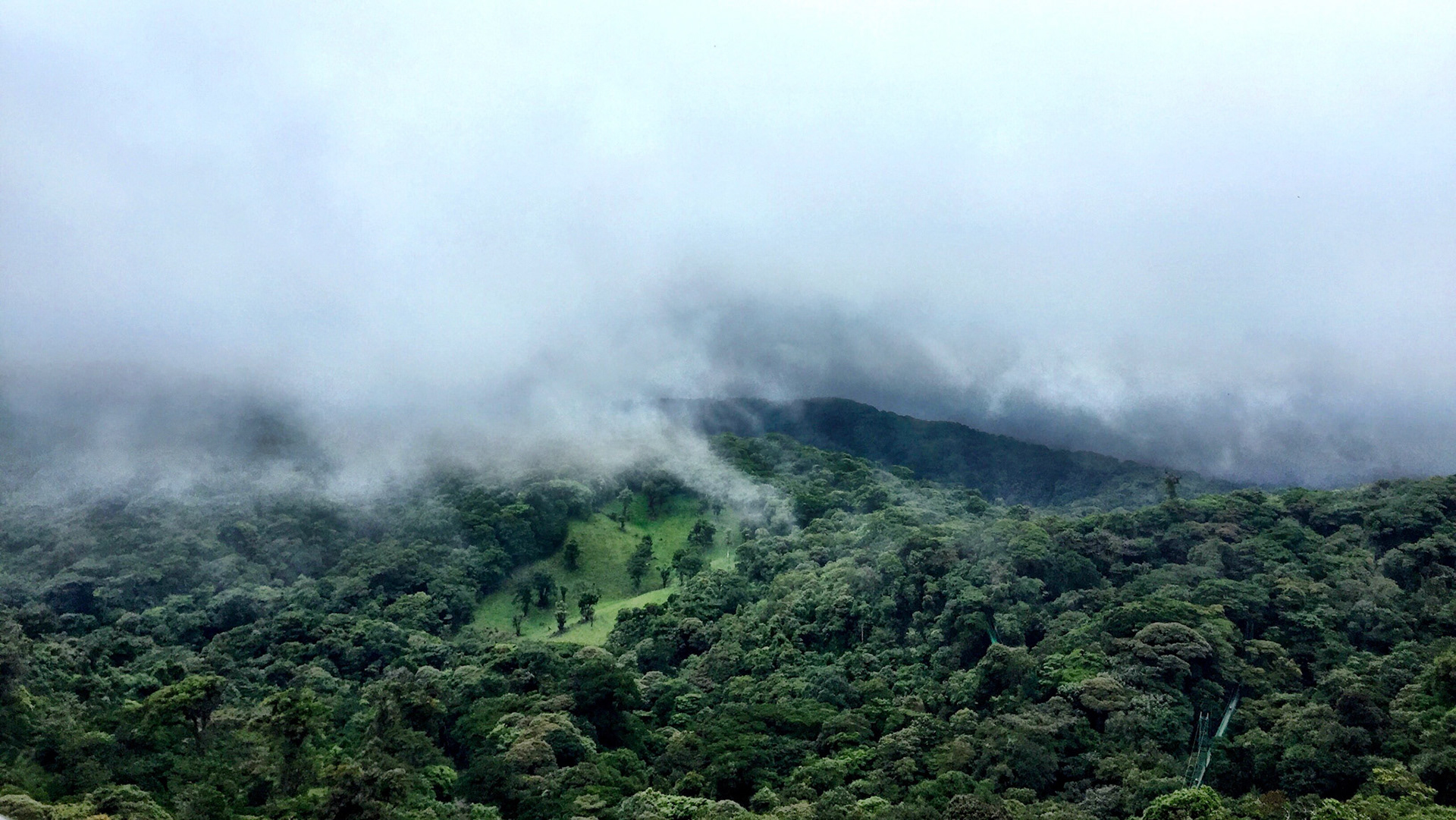 Monteverde Cloud Forest I | Known for its evergreen atmosphere and extremely high biodiversity, the Monteverde Cloud Forest Reserve gets its name from a rare ability to attract low level cloud cover across more than 25,000 acres.
