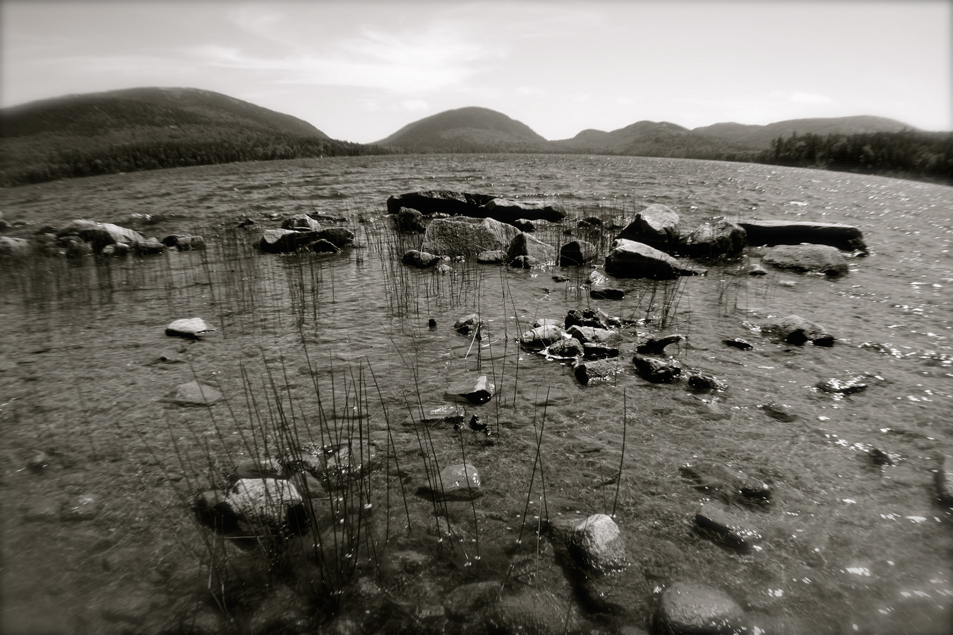 Acadia National Park | Maine