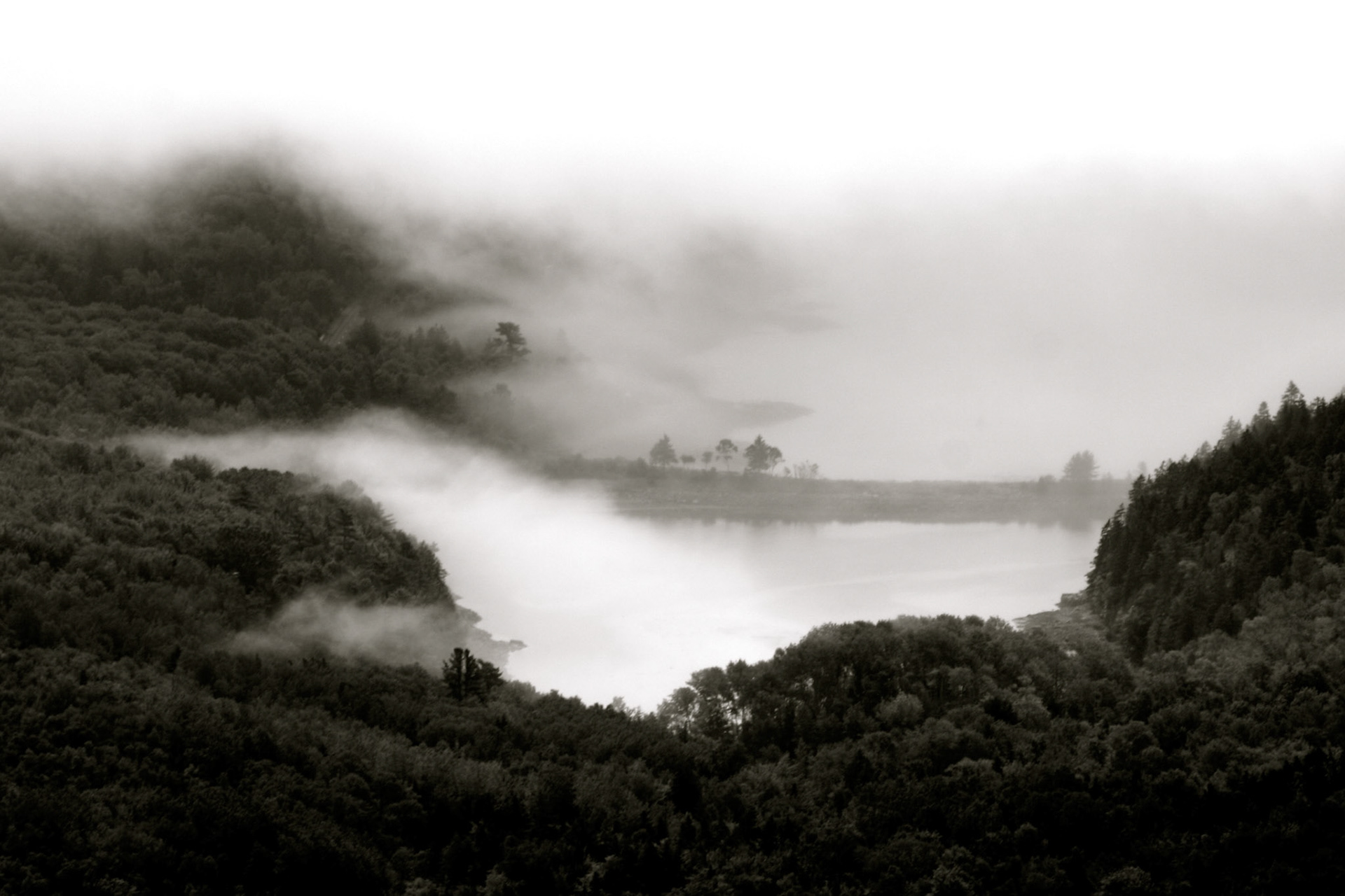 Harbor Mist | Mount Desert Island |Maine