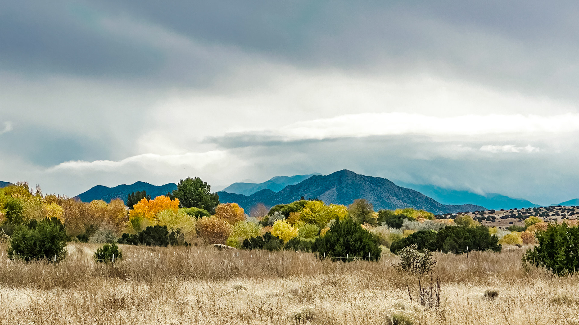 Edge of Autumn | Northern New Mexico