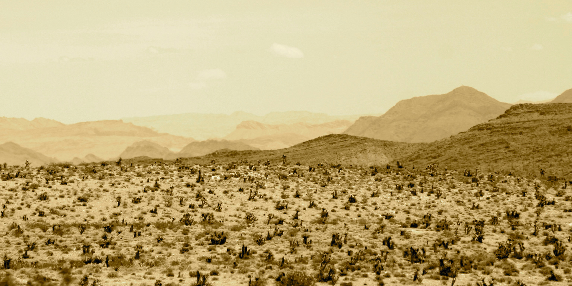 Mojave - One | Desert view | Red Rock Canyon National Conservation Area | Nevada |