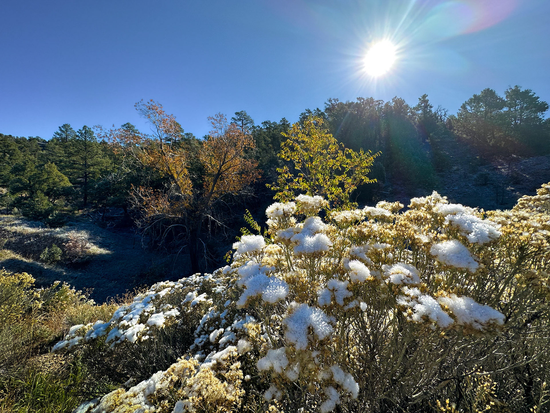 Sun After Snow | Northern New Mexico