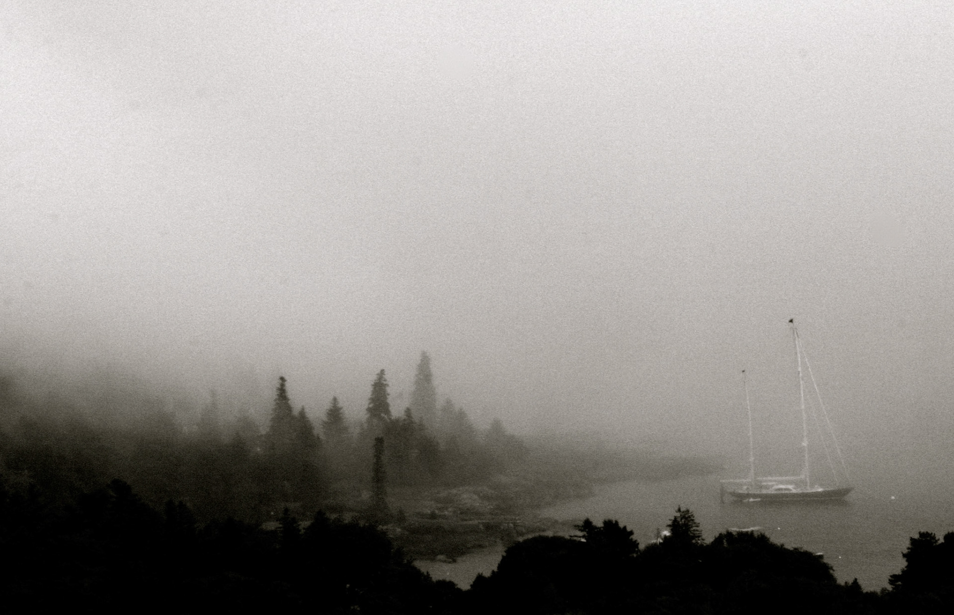 Quietly in Acadia | Otter Cove | Maine