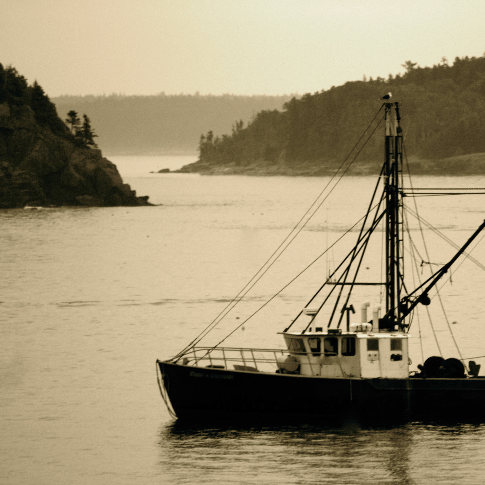 Maine Morning Story | Mount Desert Island