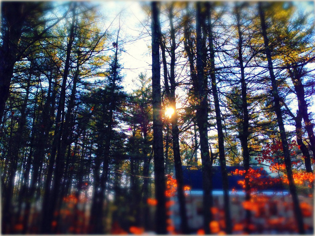 York County Morning | Maine