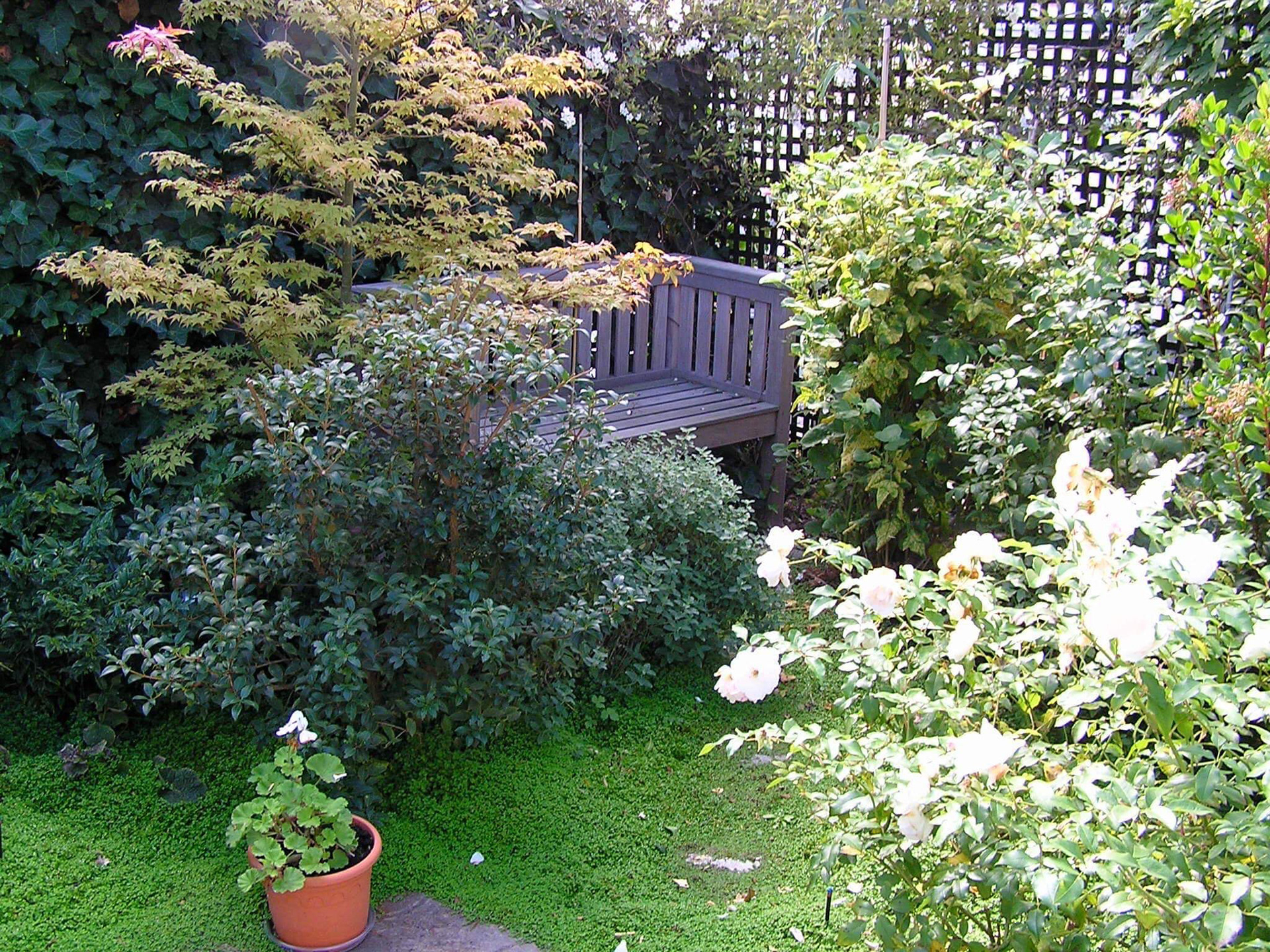 Rooftop terrace — shaded garden corner, Neuilly