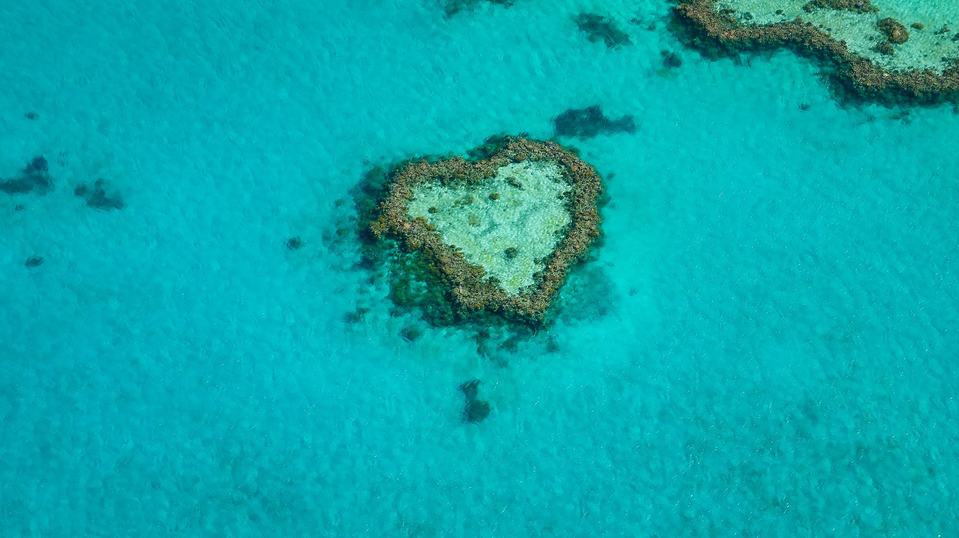 Heart Reef - Great Barrier Reef