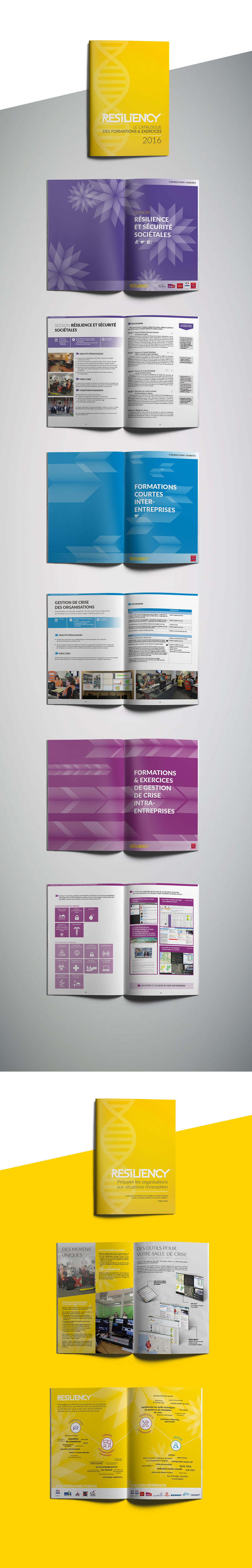 Le catalogue des formations Resiliency est présenté ouvert. On voit la maquette de couverture et des pages intérieures. La plaquette de présentation de Resiliency est aussi mise en scène.