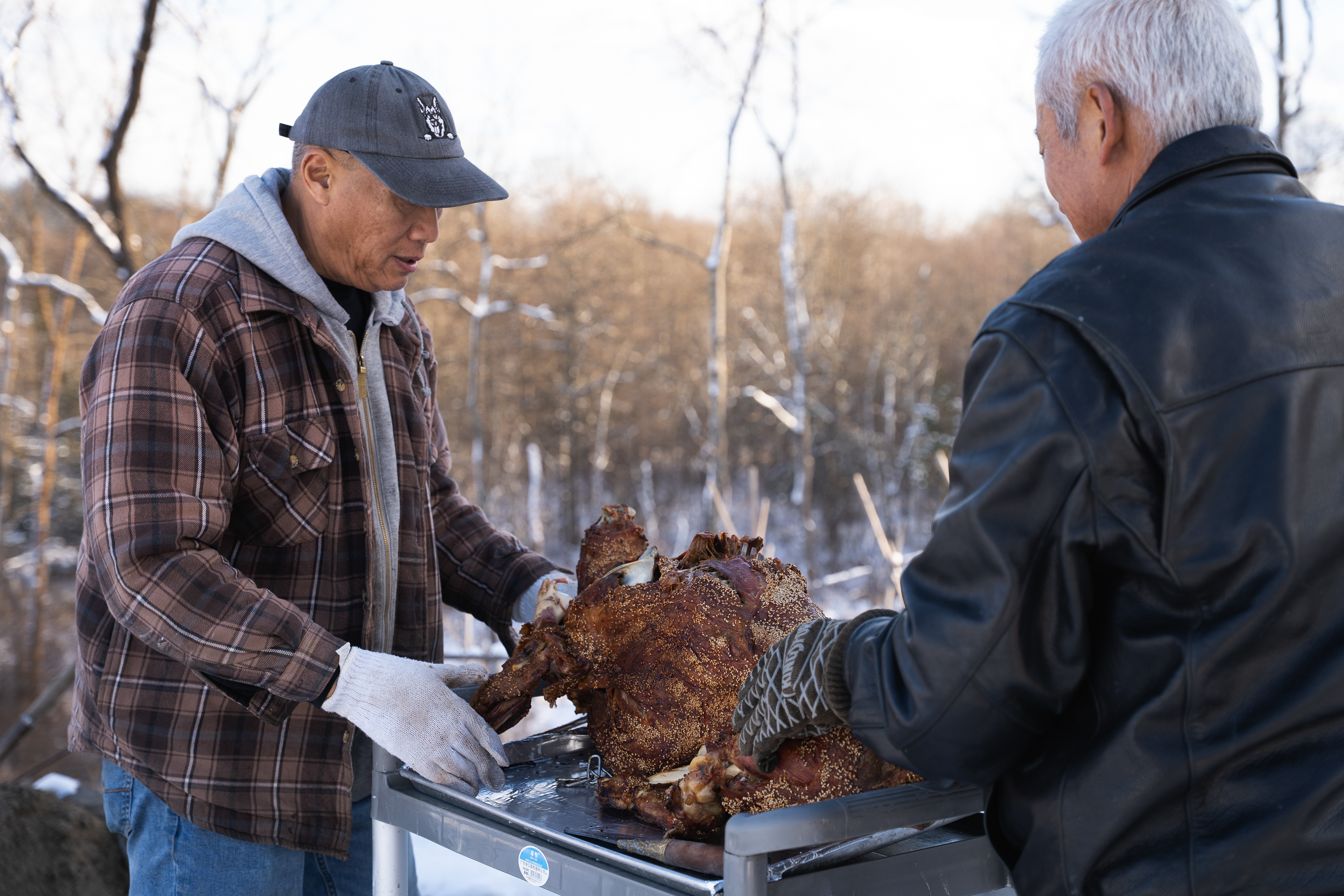 Bobo's Farm, New Paltz, NY