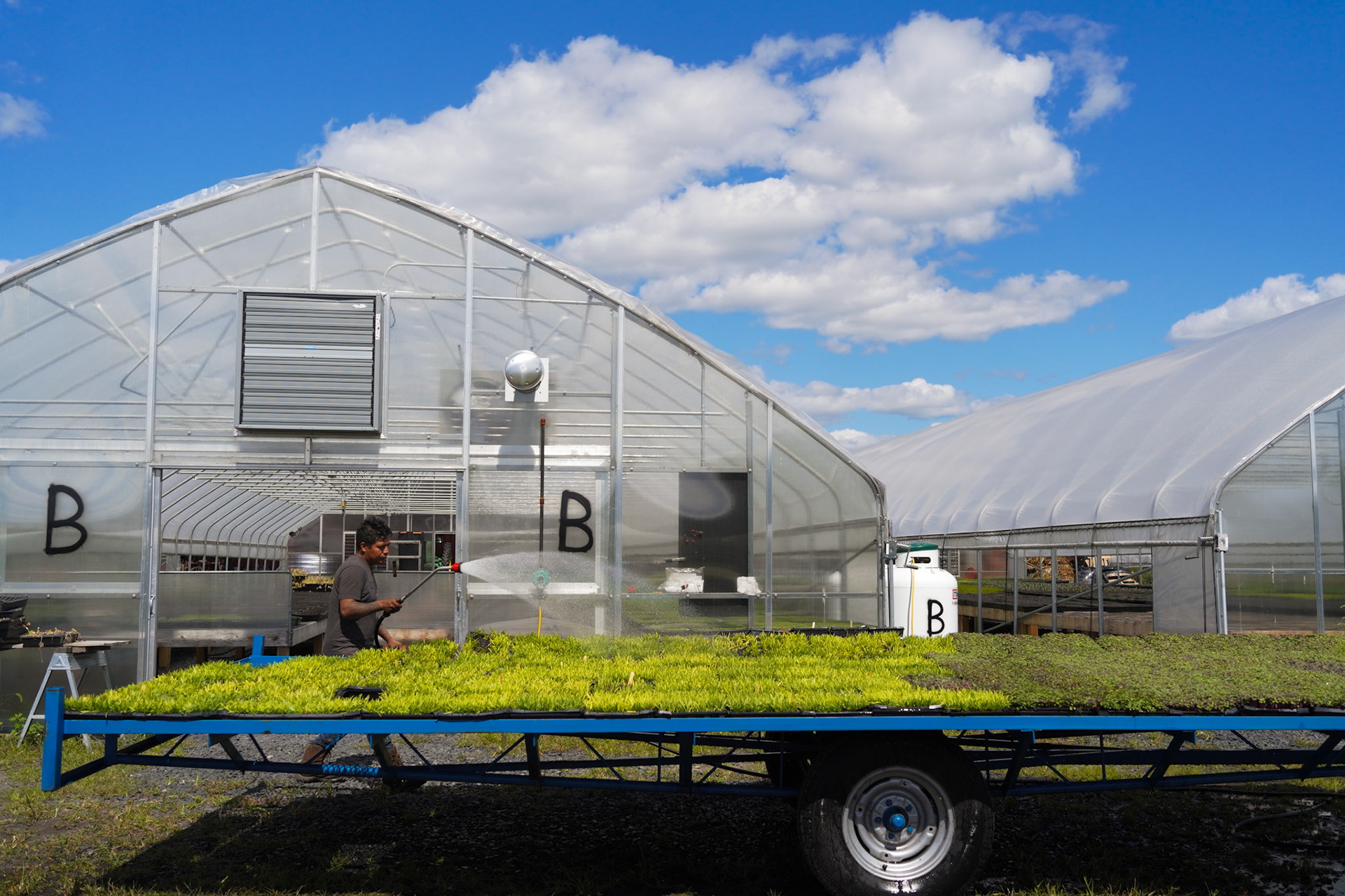 Choy Commons in Chester, NY