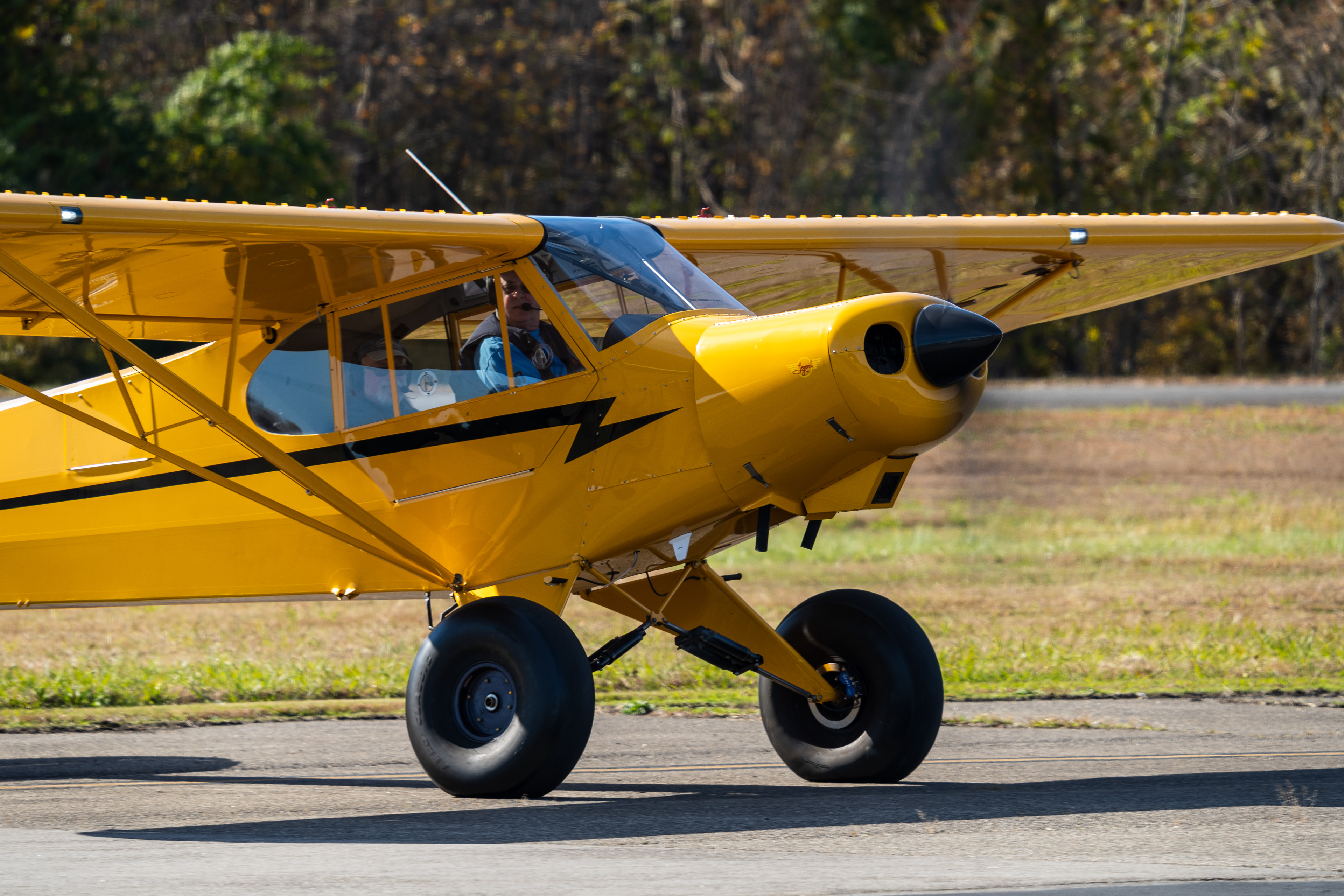 2017 American Legend Cub