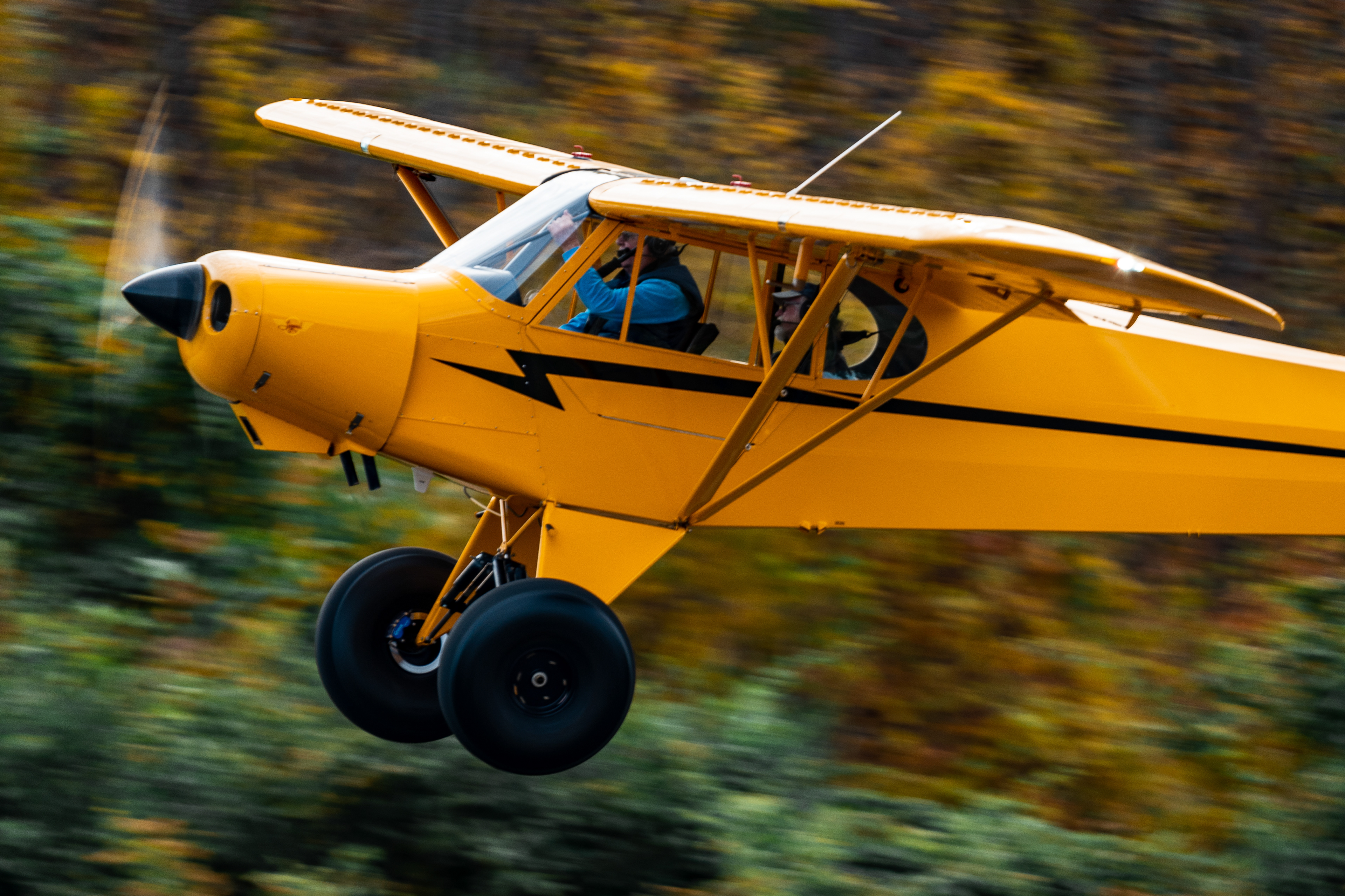 2017 American Legend Cub