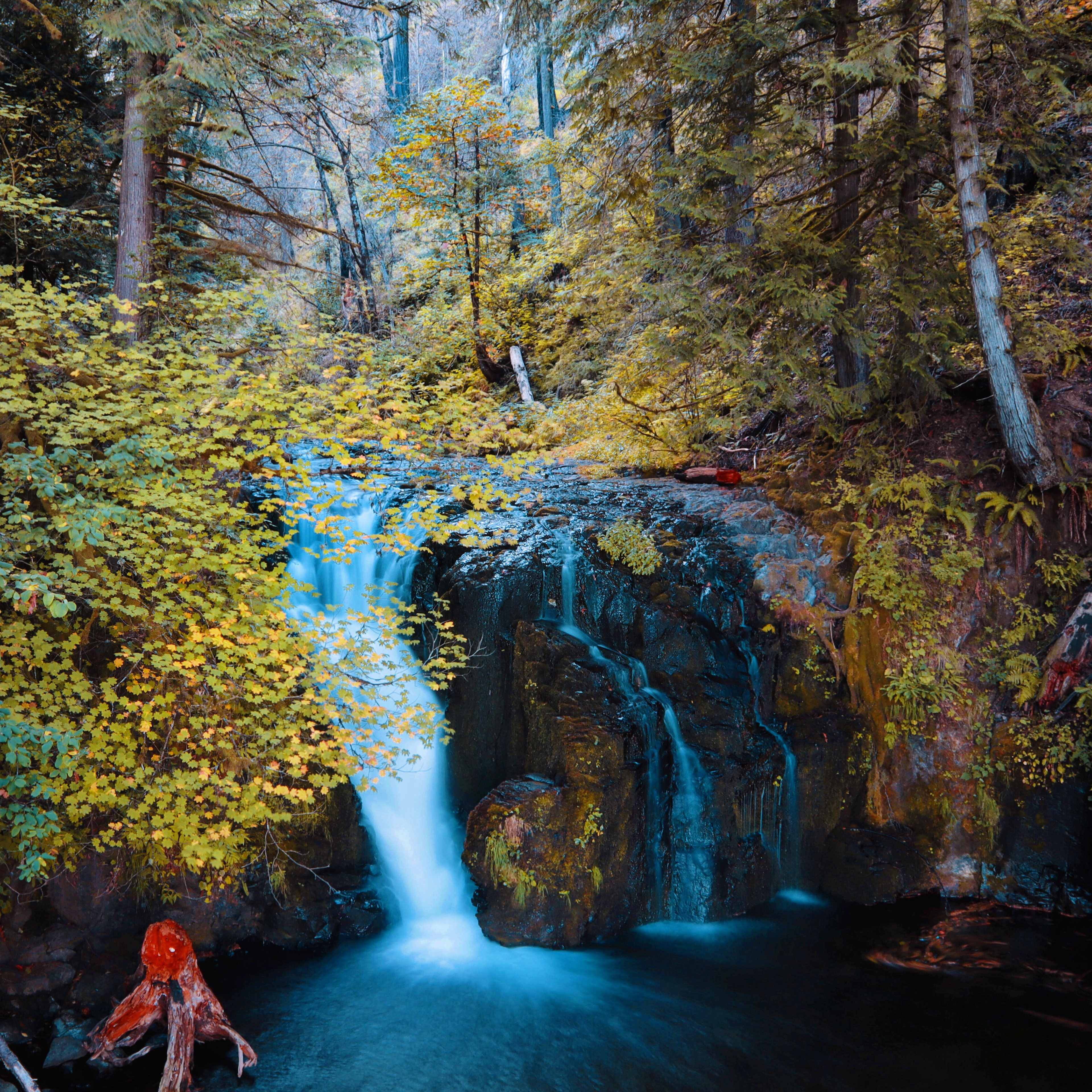 Oregon