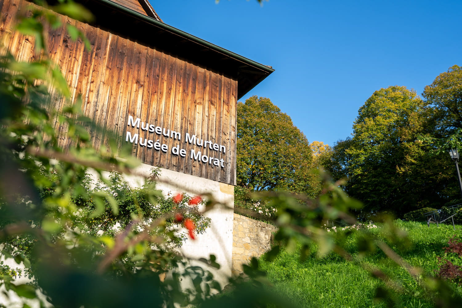 Reportages photographiques réalisés entre 2019 et 2026 au Festival Lumières pour l'Office du Tourisme de Morat.