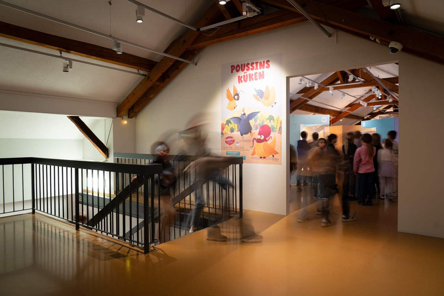 Reportage photographique dans l'exposition Poussins 2026 pour le Musée d'Histoire Naturelle de Fribourg