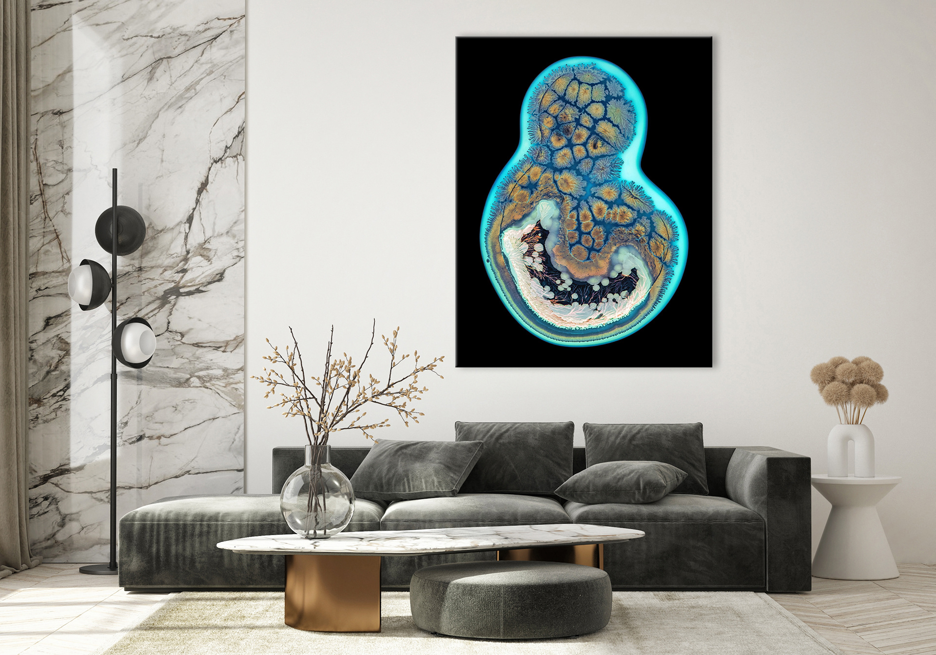 Embryo