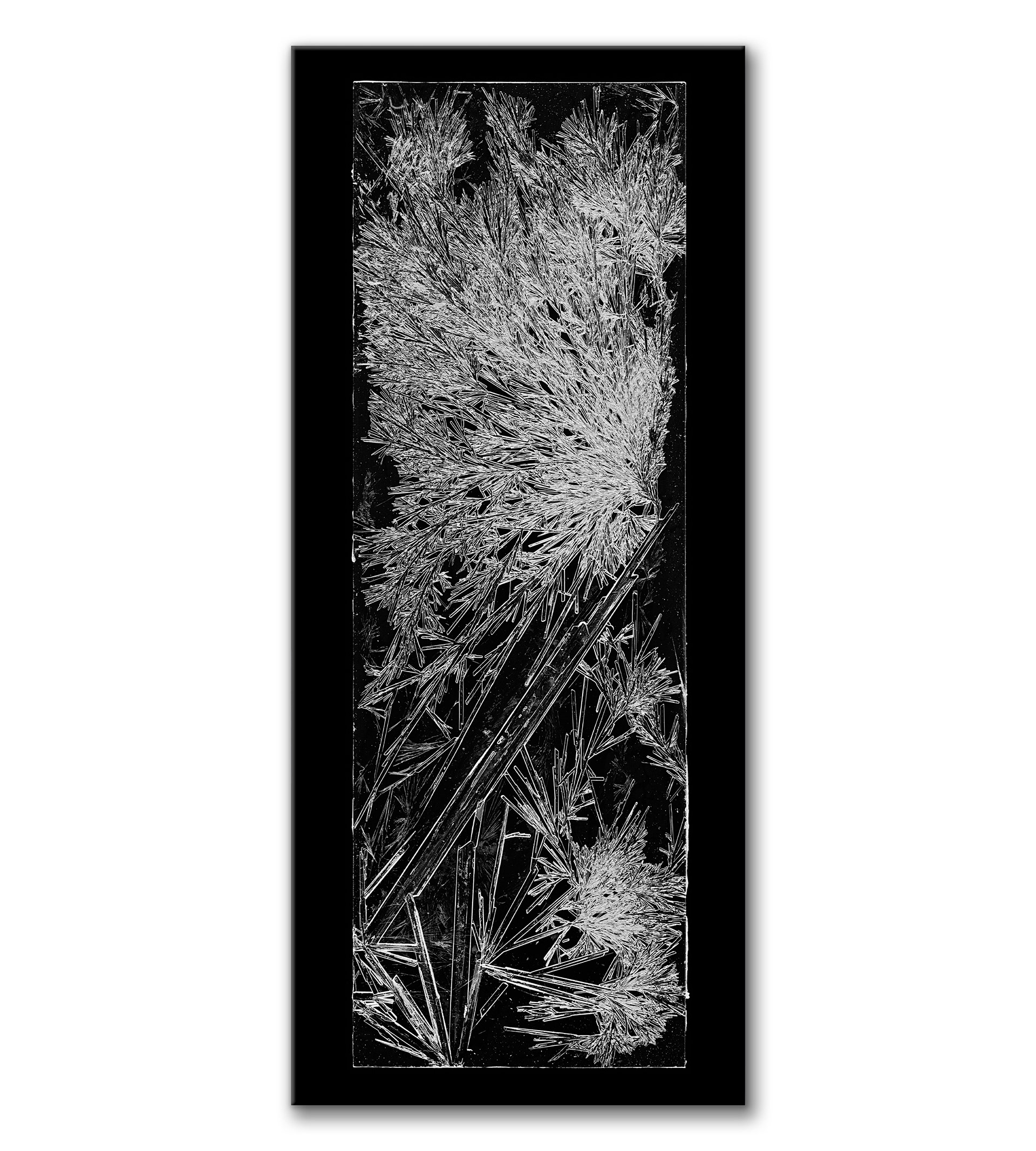 Frostwork #1 (Arctic Bloom)