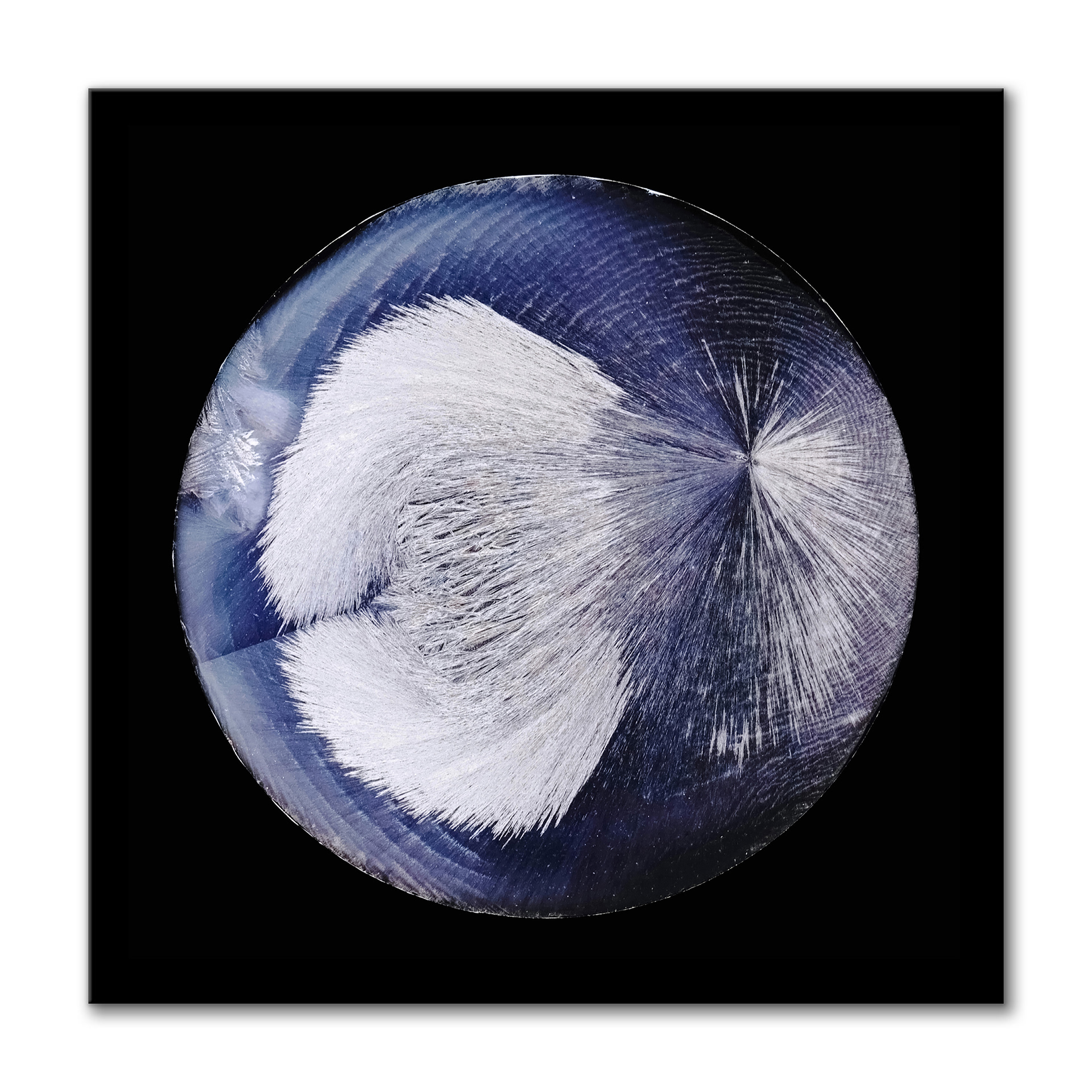 Frozen Planet IV
